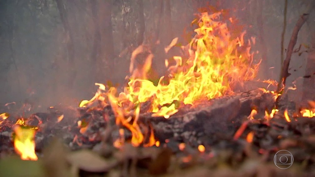 Focos de incêndio no Pantanal triplicam em julho em relação ao mesmo mês de 2019 — Foto: JN