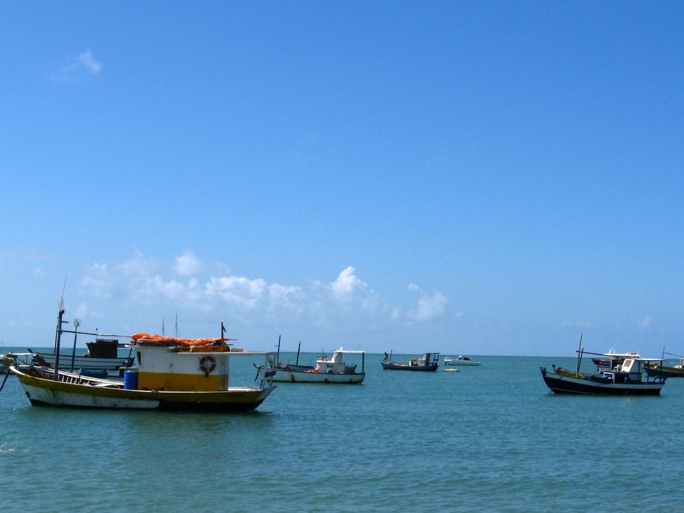 Na foto, barcos de pesca na Praia do Forte em Salvador — Foto: Wikimedia Commons