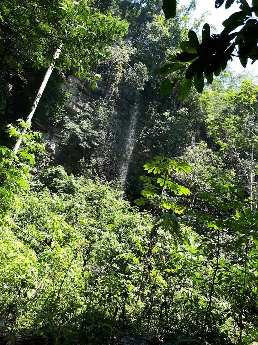 Cachoeira em Alto Alegre dos Parecis, RO — Foto: Reprodução