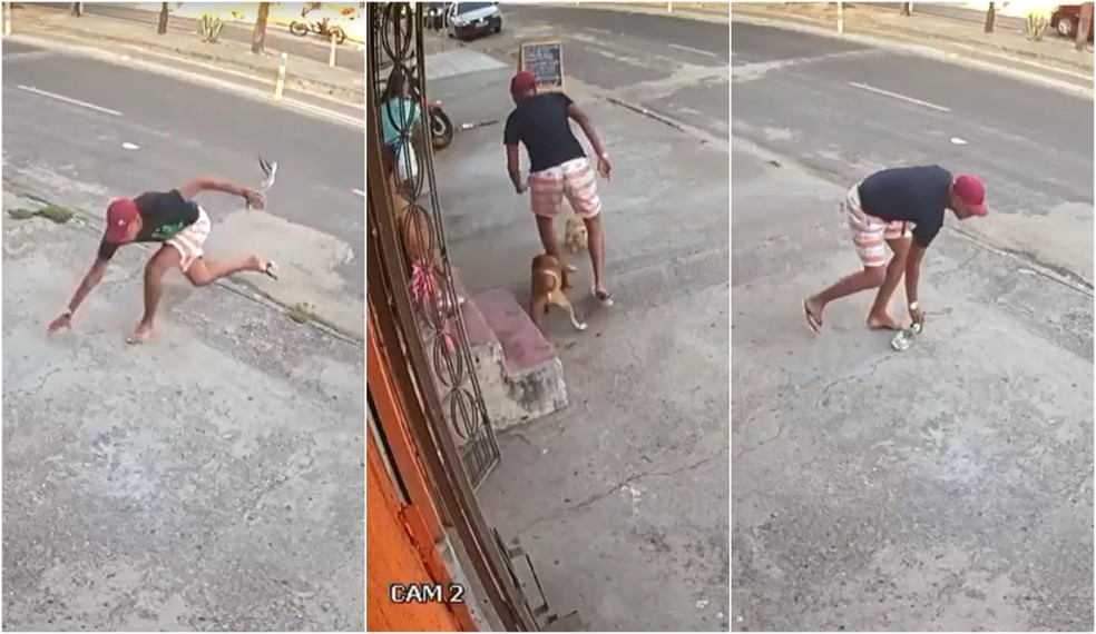 Além de tropeçar e perder o chinelo, o criminoso teve a canela mordida por um cahorro. — Foto: Reprodução