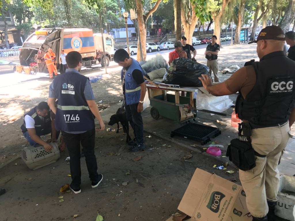 Família de cachorros abandonados é resgatada na Glória, Zona Sul do Rio