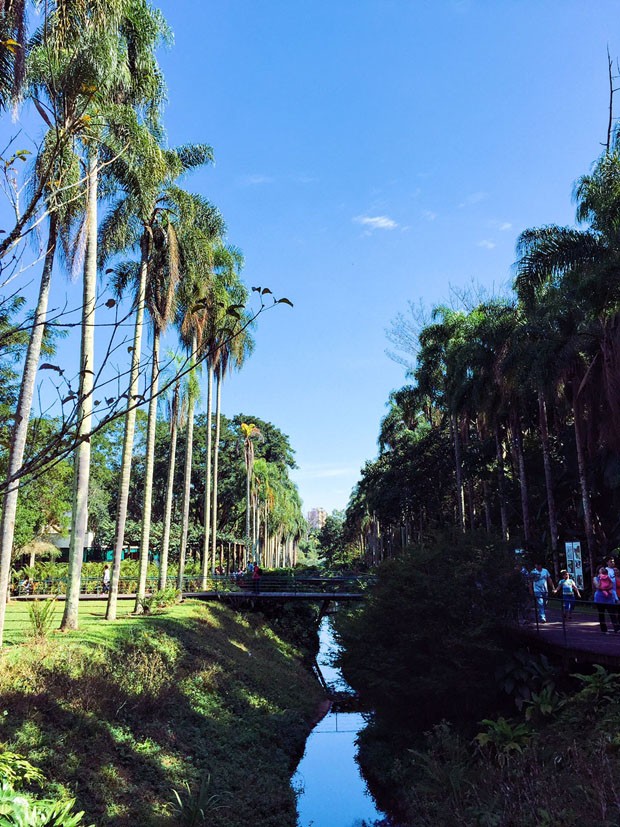 Um passeio pelo Jardim Botânico de São Paulo (Foto: Flo Atelier Botanico)