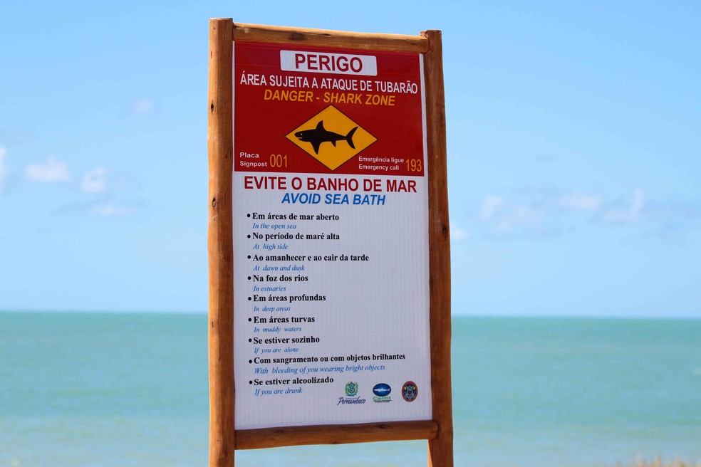 Grande Recife recebeu novas placas de alerta contra tubarões em 2016 (Foto: Marlon Costa/Pernambuco Press)
