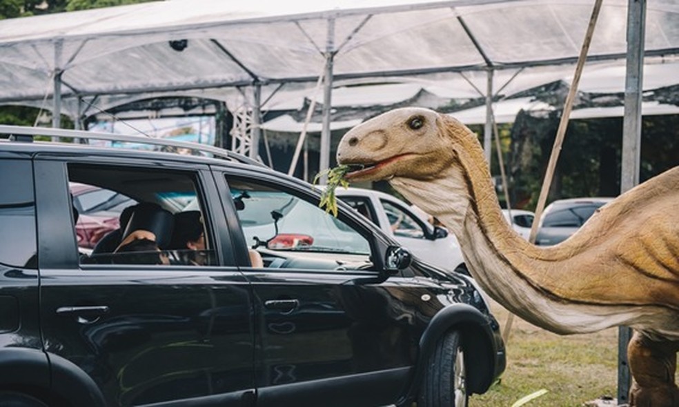 Jurassic Safari Experience com réplicas de dinossauros é atração em Brasília — Foto: Divulgação