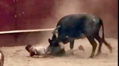 José Ramón Bronte Les é atingido por touro (Foto: reprodução)