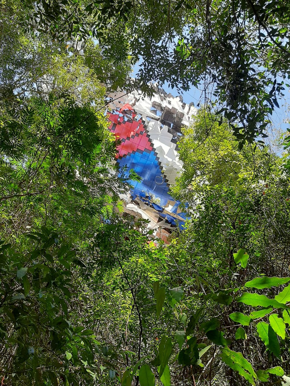 Balão cai em área de mata na Serra do Japi em Jundiaí (SP) — Foto: Divulgação/Guarda Municipal