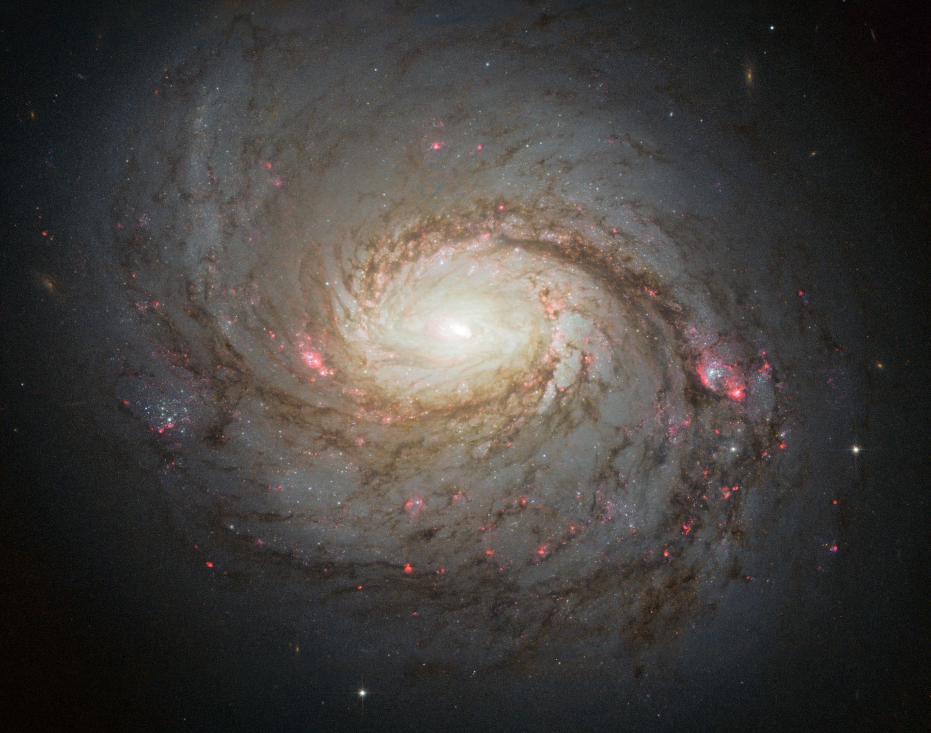Telescópio Hubble enxerga a galáxia espiral com núcleo ativo NGC 1068 (Foto: NASA/ESA/A. van der Hoeven)