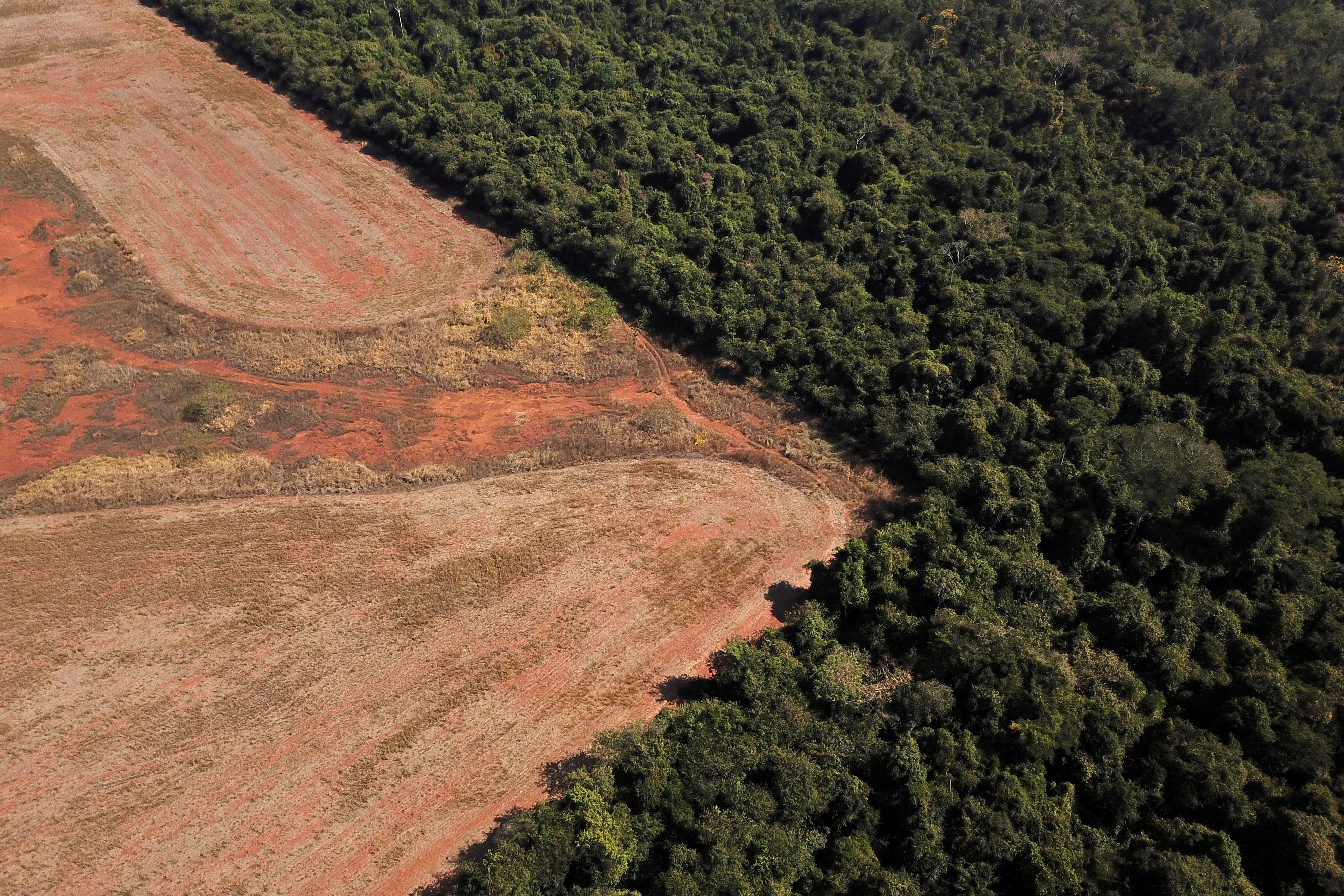 Área desmatada na região de fronteira entre Amazônia e Cerrado em Nova Xavantina, no Mato Grosso  (Foto: REUTERS/Amanda Perobelli)