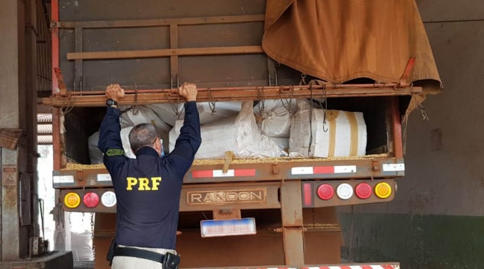 PRF prende 3 toneladas de maconha em Ponta Porã — Foto: PRF/Divulgação