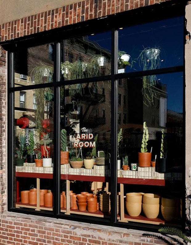 Conheça a Tula Plants & Design, loja de NY especializada em cactos (Foto: Divulgação)