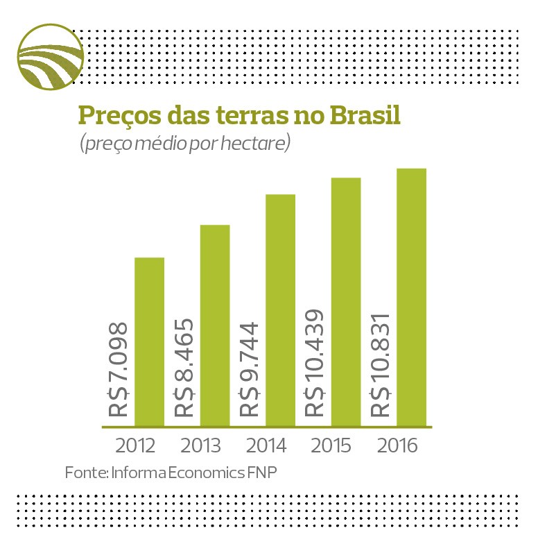 Preços de terras (Foto: Globo Rural)