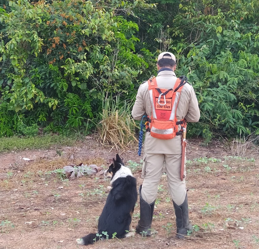 Bombeiros fazem buscas por trabalhador de 47 anos desaparecido em MT — Foto: CBM/MT