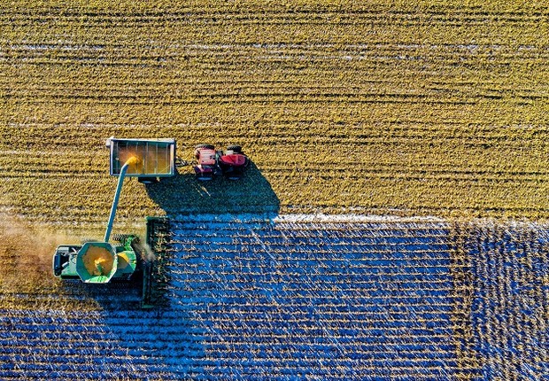 Agricultura (Foto: Pexels)