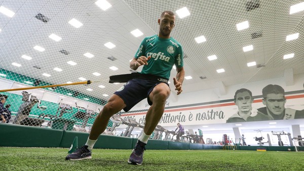 Não tem tempo para lamentar, Palmeiras enfrenta o Bahia para voltar a vencer no campeonato