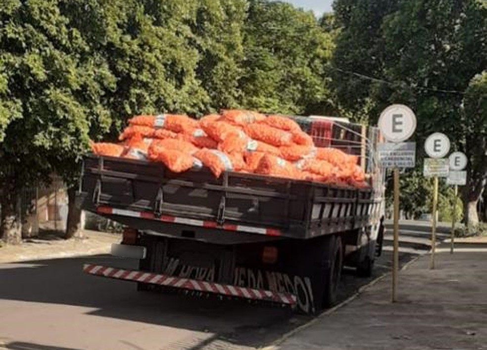Quase 2 toneladas de maconha foram apreendidas em Alfredo Marcondes — Foto: Polícia Militar 