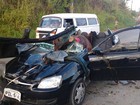 Condutor é socorrido após atropelar cavalo na PE-07, em Jaboatão