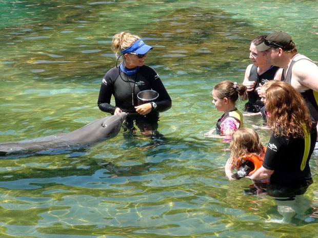 Visitantes nadam com golfinhos no parque Discovery Cove, em Orlando (Foto: Flávia Mantovani/G1)