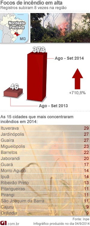 Gráfico mostra alta em número de queimadas na região de Ribeirão Preto (Foto: Arte / G1)
