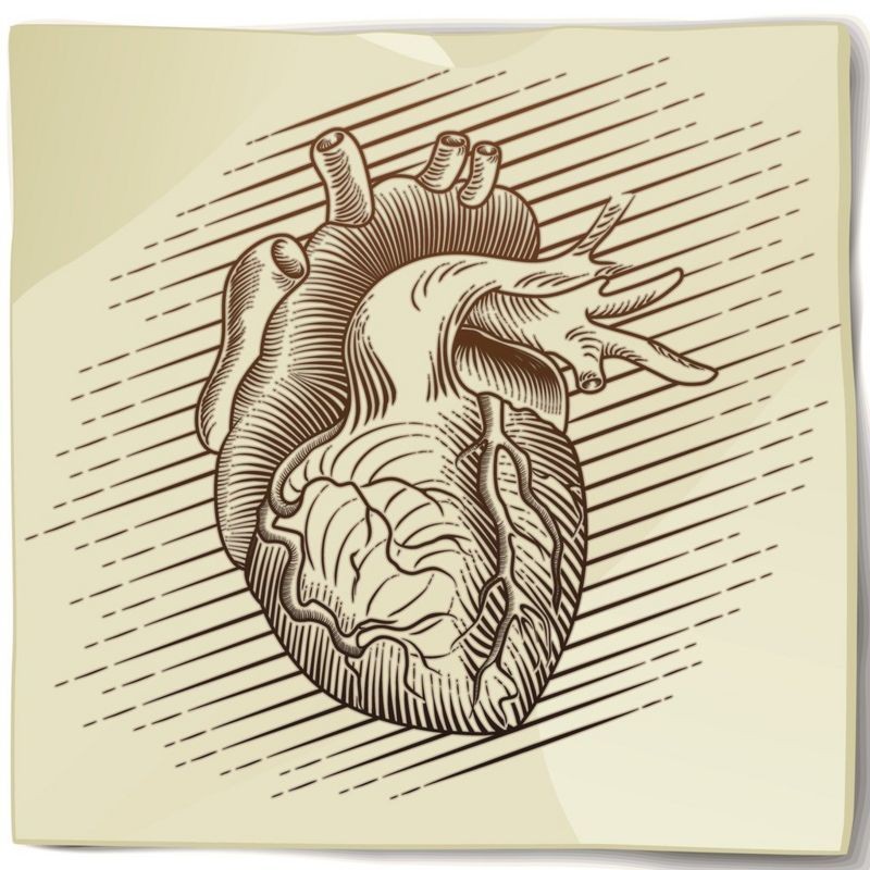 Músculo do coração funciona de forma ininterrupta (Foto: Getty Images via BBC News)