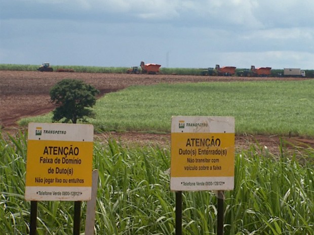 Obras do primeiro trecho do etanolduto, entre Ribeirão e Paulínia, foram concluídas em janeiro (Foto: Carlos Trinca/EPTV)