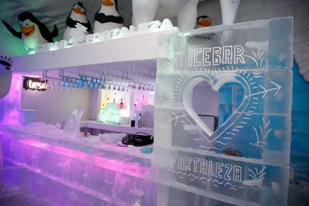 Visitante do bar de gelo pagam R$ 89,90 e têm direito ao passeio e a bebidas — Foto: Helene Santos/SVM