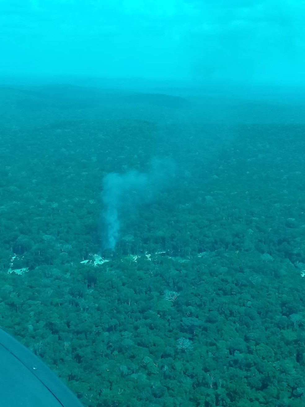 Área desmatada por invasores em reserva — Foto: PF/Divulgação