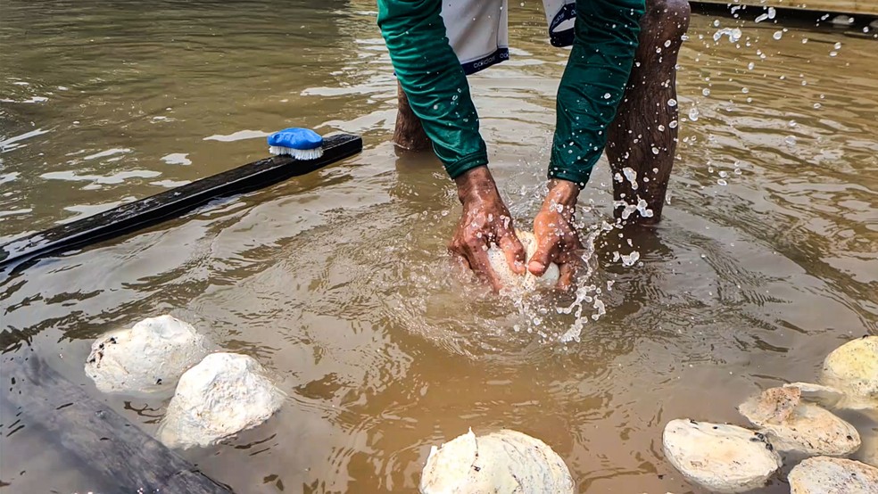 Homem lavando a borracha no rio Cautário em Rondônia — Foto: Armando Júnior