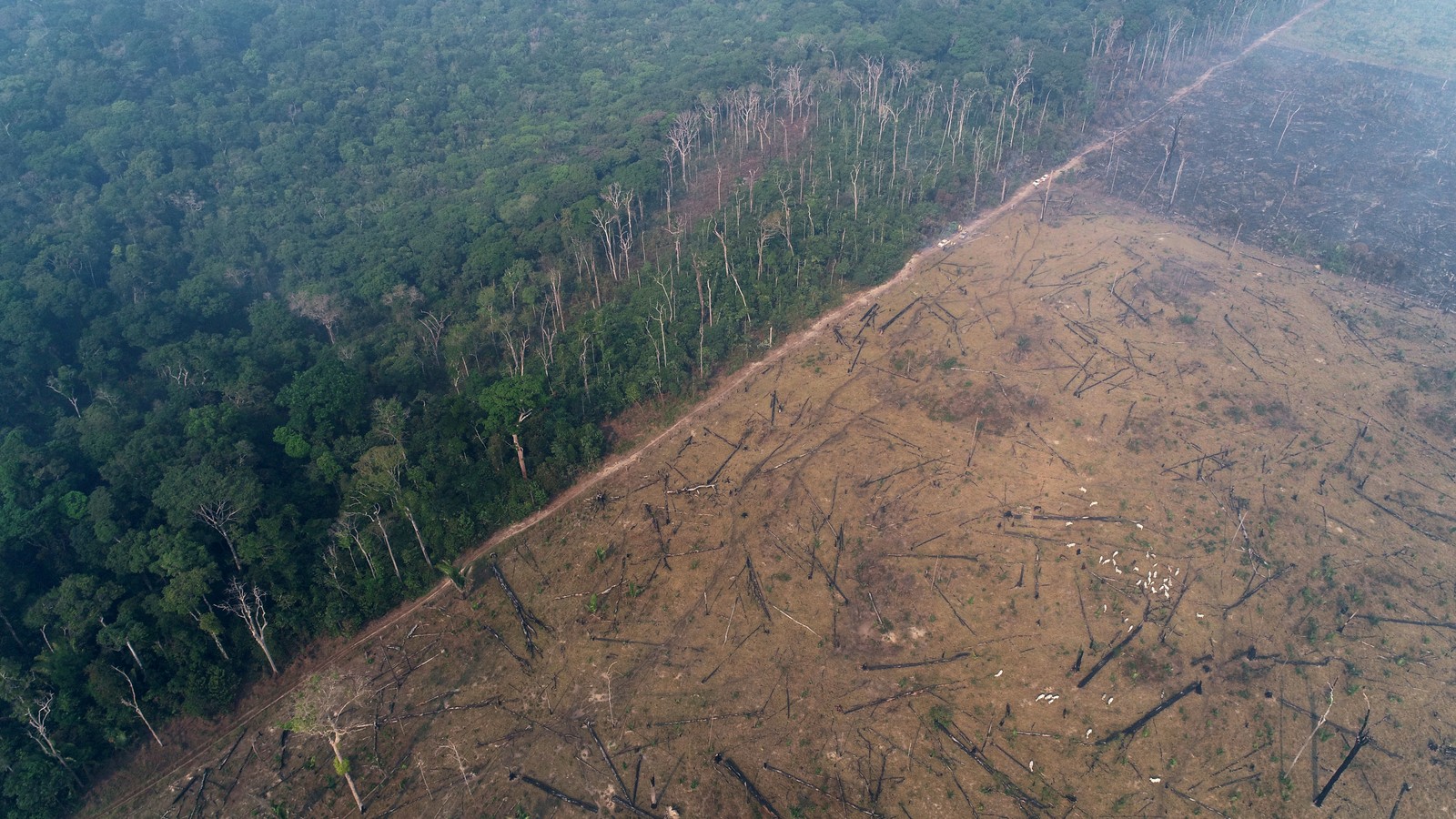 Imagem aérea mostra fronteira entre a selva amazônica a área degradada por queimadas a mando de madeireiros e fazendeiros, em Apuí, no AmazonasREUTERS