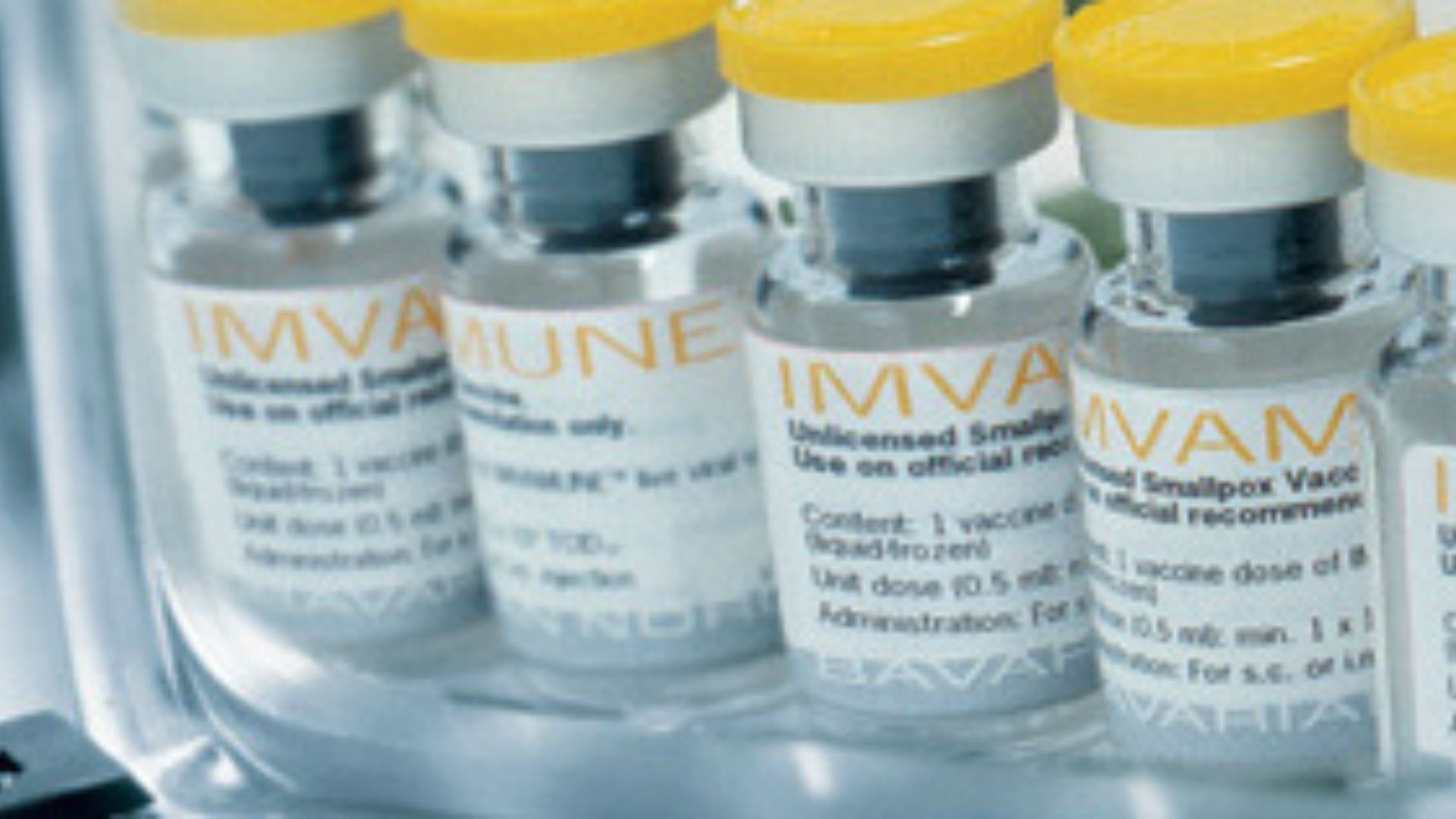 A vacina Imvanex contra a varíola dos macacos  (Foto: Bavarian Nordic )
