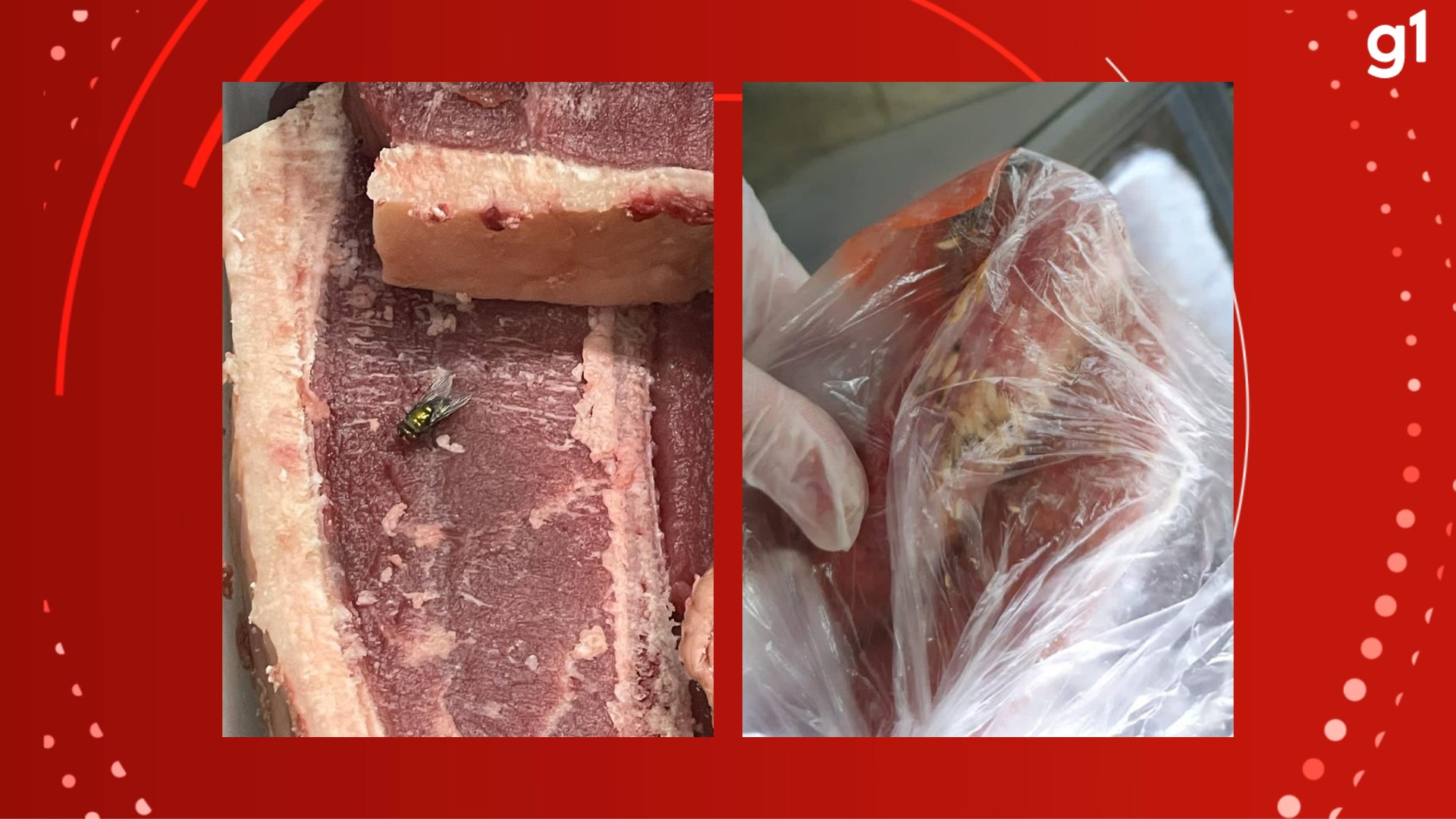 Operação apreende 3,4 toneladas de alimentos impróprios para consumo em Tramandaí