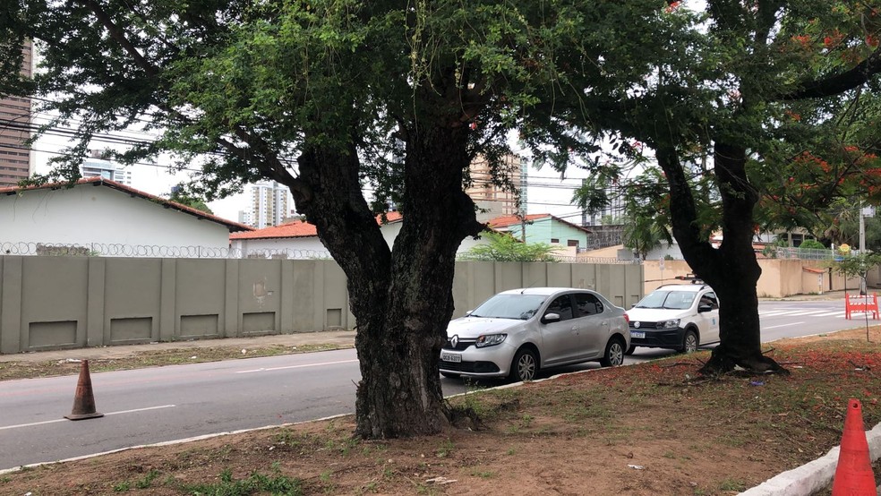 Árvores no canteiro central da Avenida Hermes da Fonseca vão passar por avaliação sobre risco de queda. — Foto: Vinícius Marinho/Inter TV Cabugi