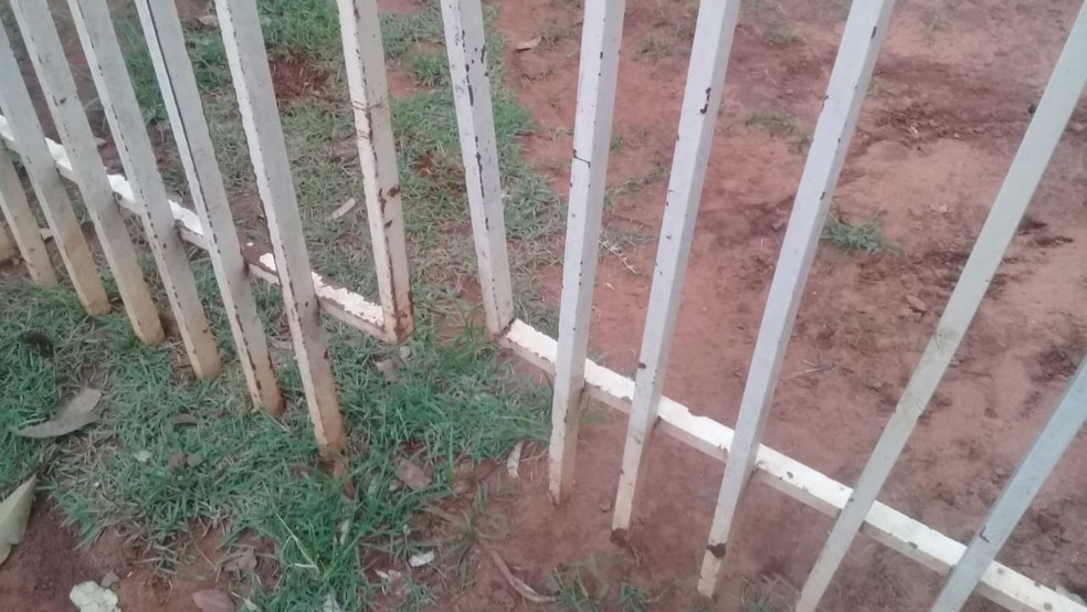 Portão de igreja foi recolocado por fieis após ser arrombado por capivara, em Campo Grande (MS). — Foto: Samara de Figueiredo