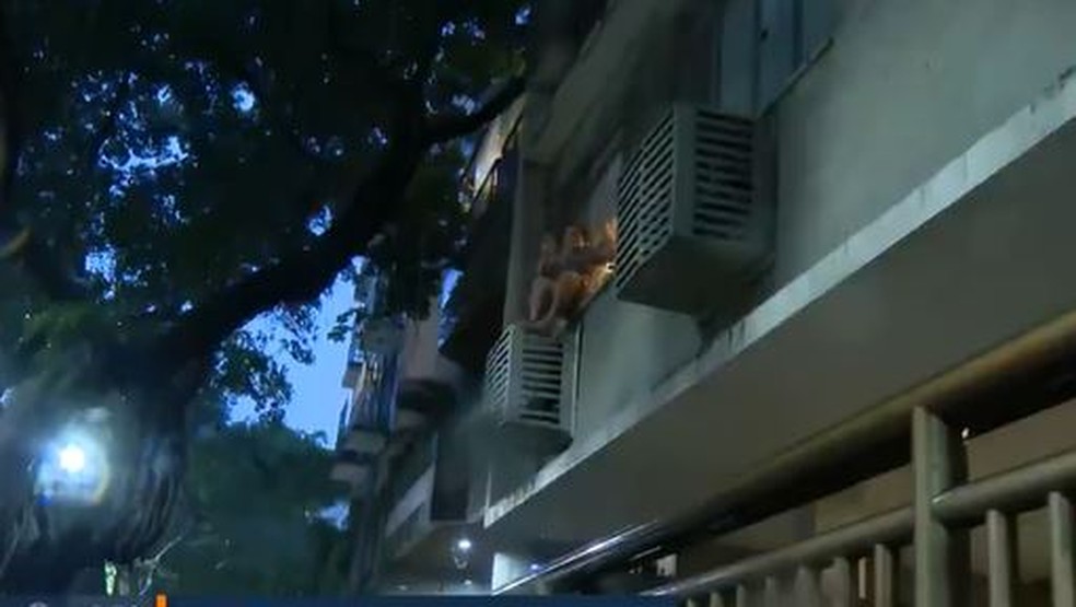 Rosa Stanesco Nicolau tentou fugir da polícia pela janela do apartamento em Ipanema  — Foto: Reprodução / TV Globo