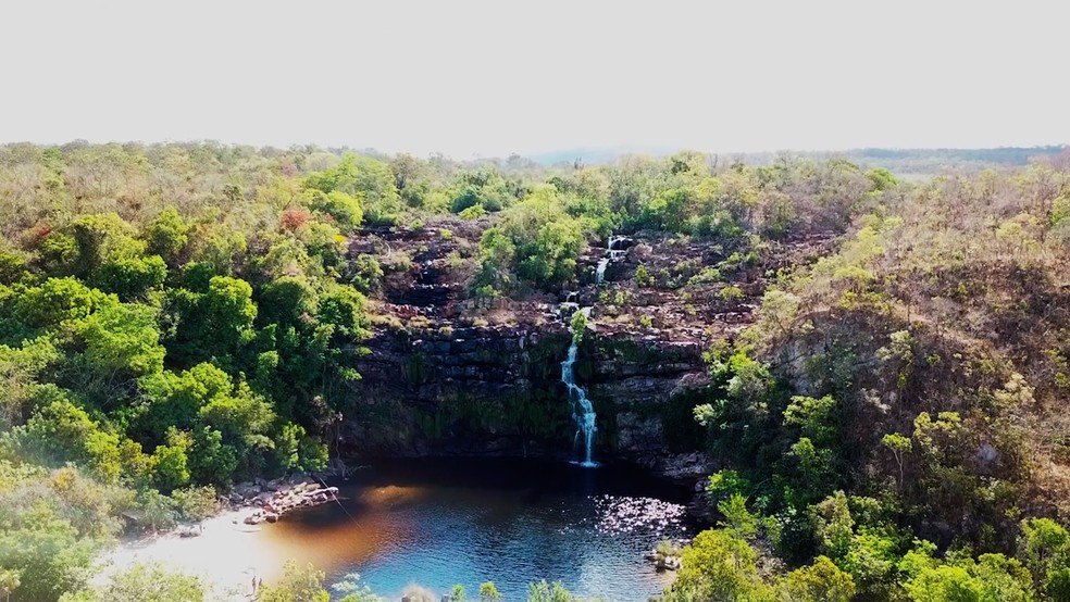 Cerrado A Floresta De Cabeca Para Baixo Que Abastece Boa Parte Do Brasil Natureza G1 No cerrado, além dos níveis de proteção da vegetação nativa, definidos pelo código florestal de com a extensão da moratória da soja para o cerrado, os resultados da modelagem indicam que a. floresta de cabeca para baixo