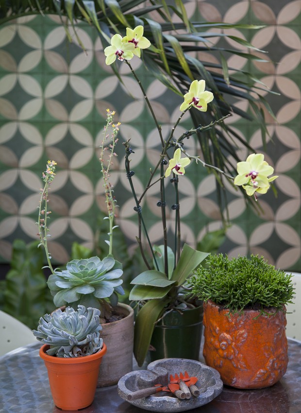 Cuidar de um jardim ao livre ou de vasos dentro de casa, como neste projeto da paisagista Catê Poli, beneficia não só as plantas como quem cuida delas (Foto: Caca Bratke / Divulgação)