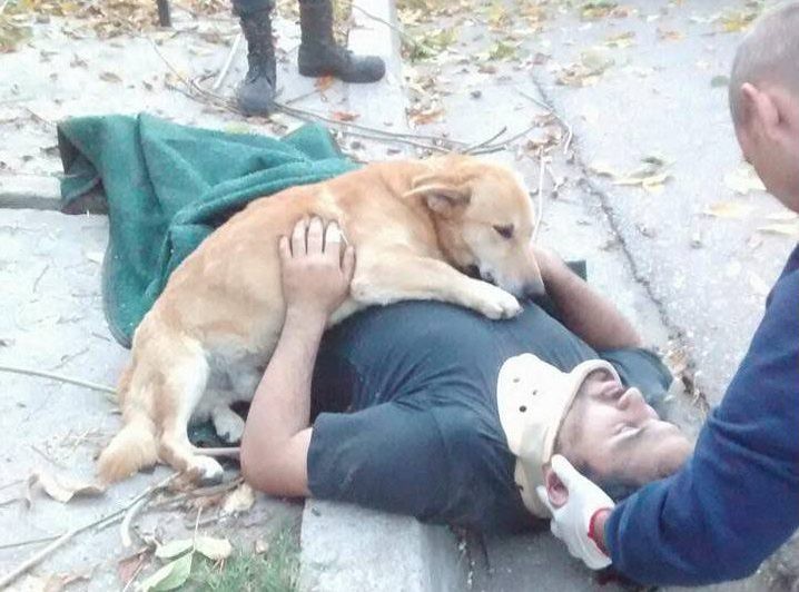 Cão 'abraça' dono ferido
