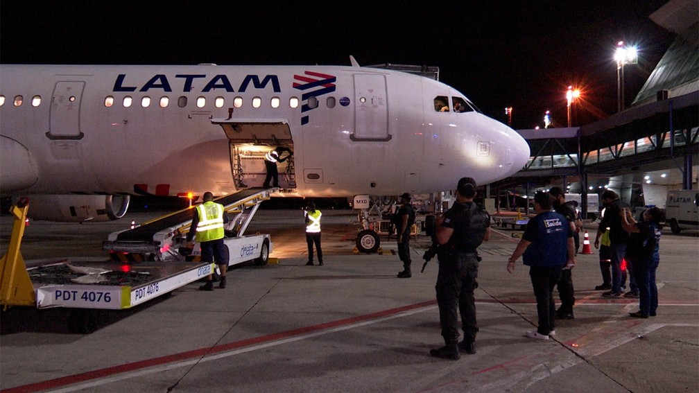 Vacinas chegaram ao Amazonas na madrugada desta sexta-feira — Foto: Divulgação