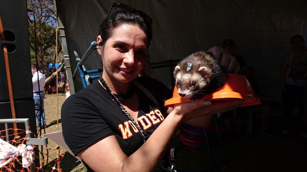 Katia Gessolo e seu furão (Foto: Tiago de Moraes/G1)