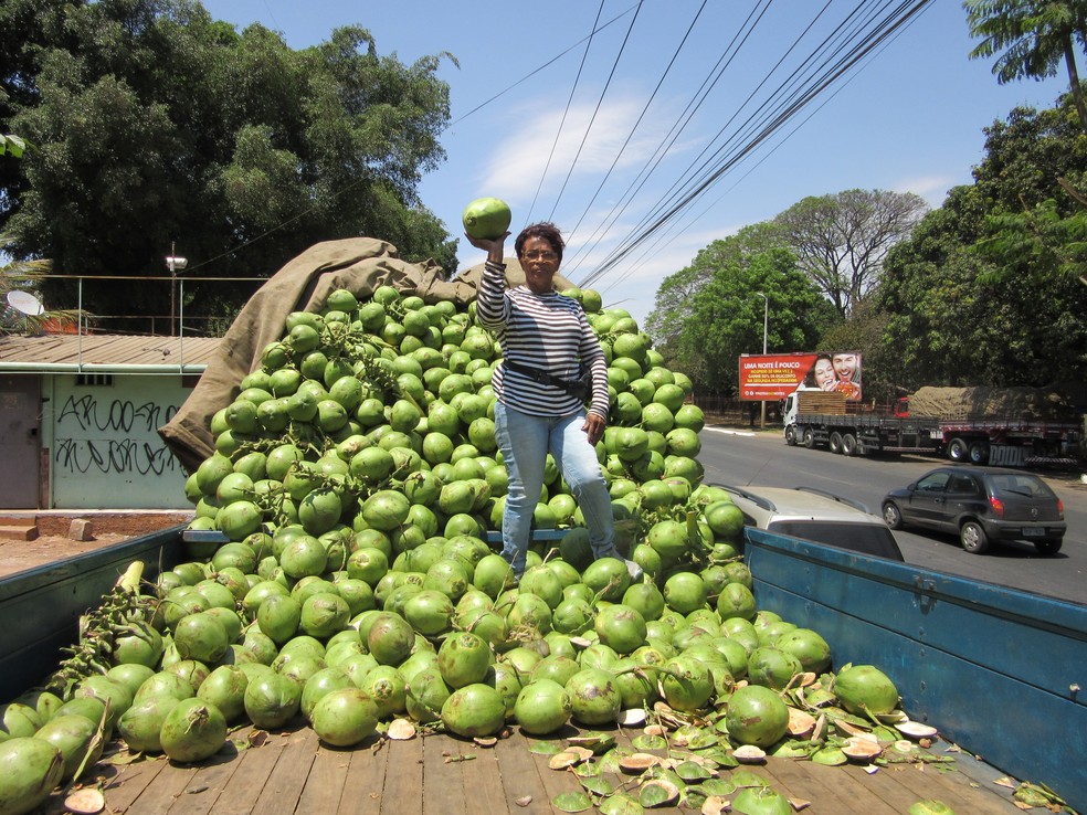 Pedrina Rodrigues em cima de carreta com cocos no DF; ela passou a vender 7 mil unidades em até três dias (Foto: Raquel Morais/G1)