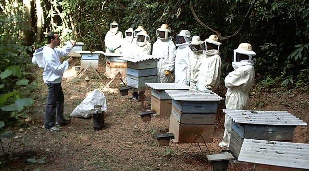 A Cia. da Abelha também tem um braço educacional, que atua na formação de profissionais apicultores (Foto: Divulgação)