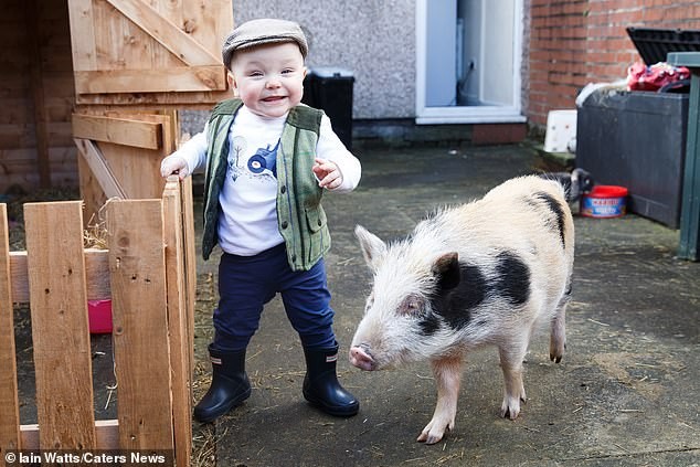 Mãe afirma que desenho 'Peppa Pig' ensinou menina de 2 anos a