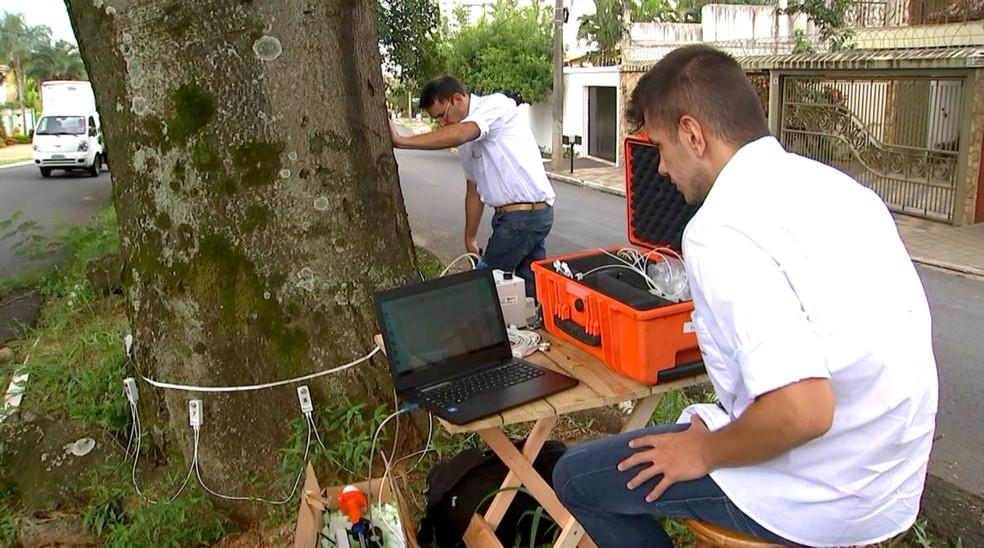 Técnicos avaliaram a situação interna dos troncos dos timburis com aparelho de ultrassom (Foto: TV TEM/Reprodução)