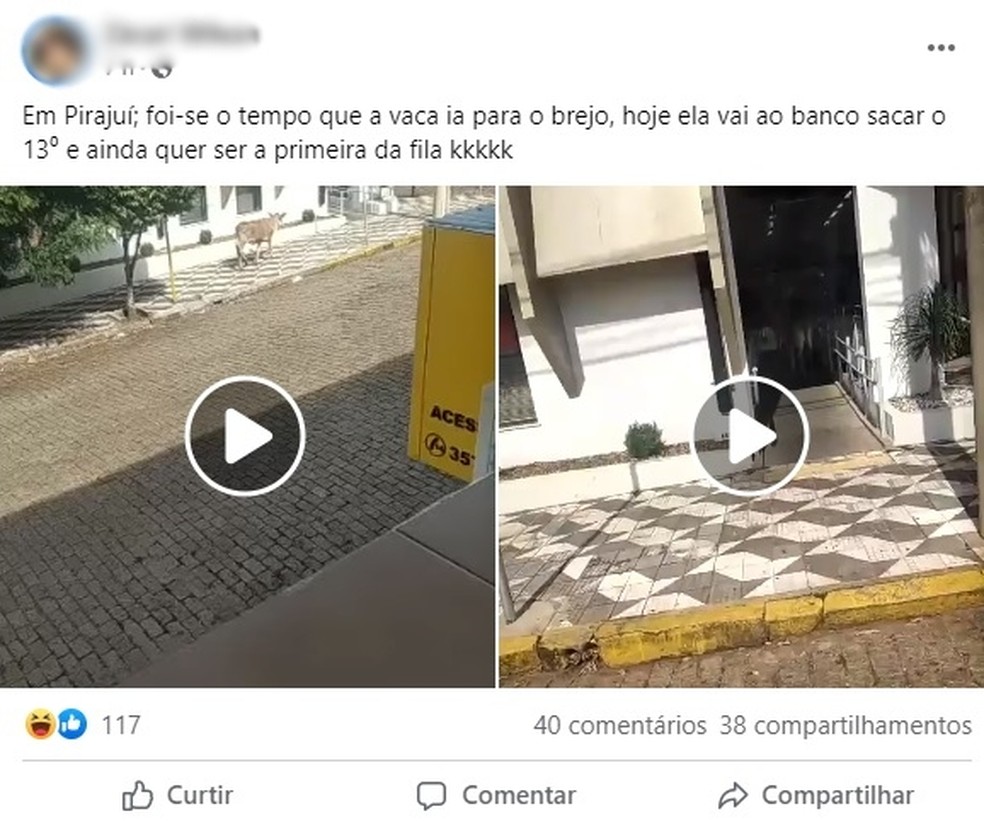Publicação brinca com situação em que vaca tenta entrar em agência bancária — Foto: Reprodução/Facebook