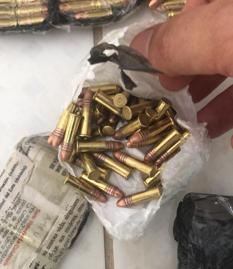 Munies de diversos calibres foram encontradas na casa de Ricardo — Foto: Polcia Civil/Divulgao