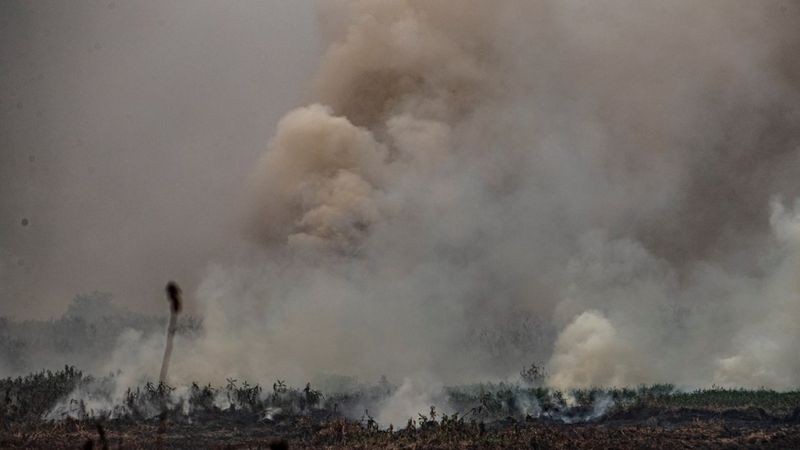 BBC: Fumaça e partículas liberadas pelos incêndios são levadas pelo vento a outras regiões (Foto: CARLOS EZEQUIEL VANNONI/EPA VIA BBC)