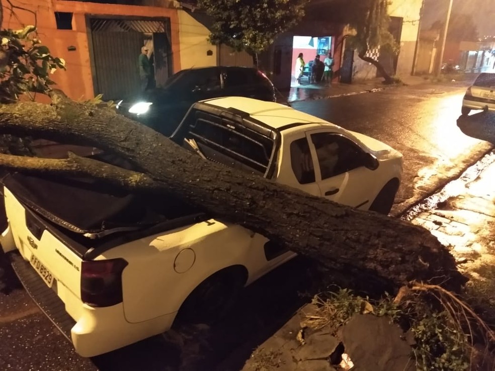 Rua Alves Seabra, em Bauru (SP), com queda de árvore sobre automóvel — Foto: Arquivo pessoal