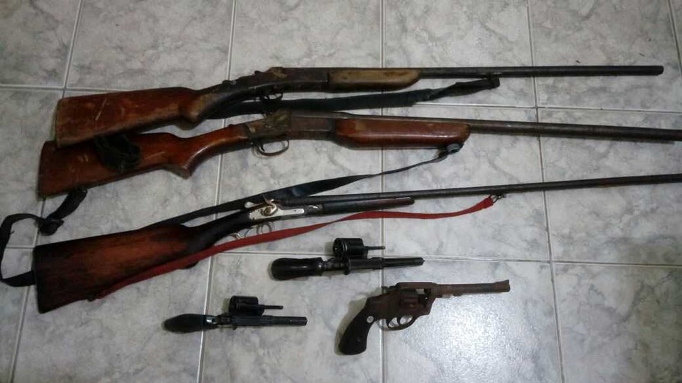 Polícia apreendeu três espingardas um garruchão e três revólveres (Foto: Divulgação/ Polícia Civil)