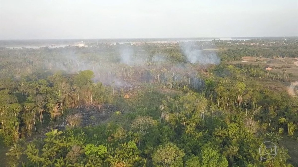 912 km² da Floresta Amazônica foram desmatados em 2019, diz Polícia Federal