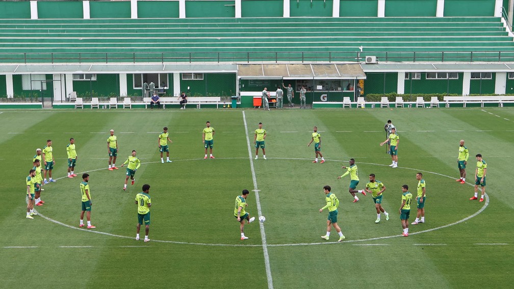 Treino do Palmeiras na Academia de Futebol — Foto: Cesar Greco / Ag. Palmeiras