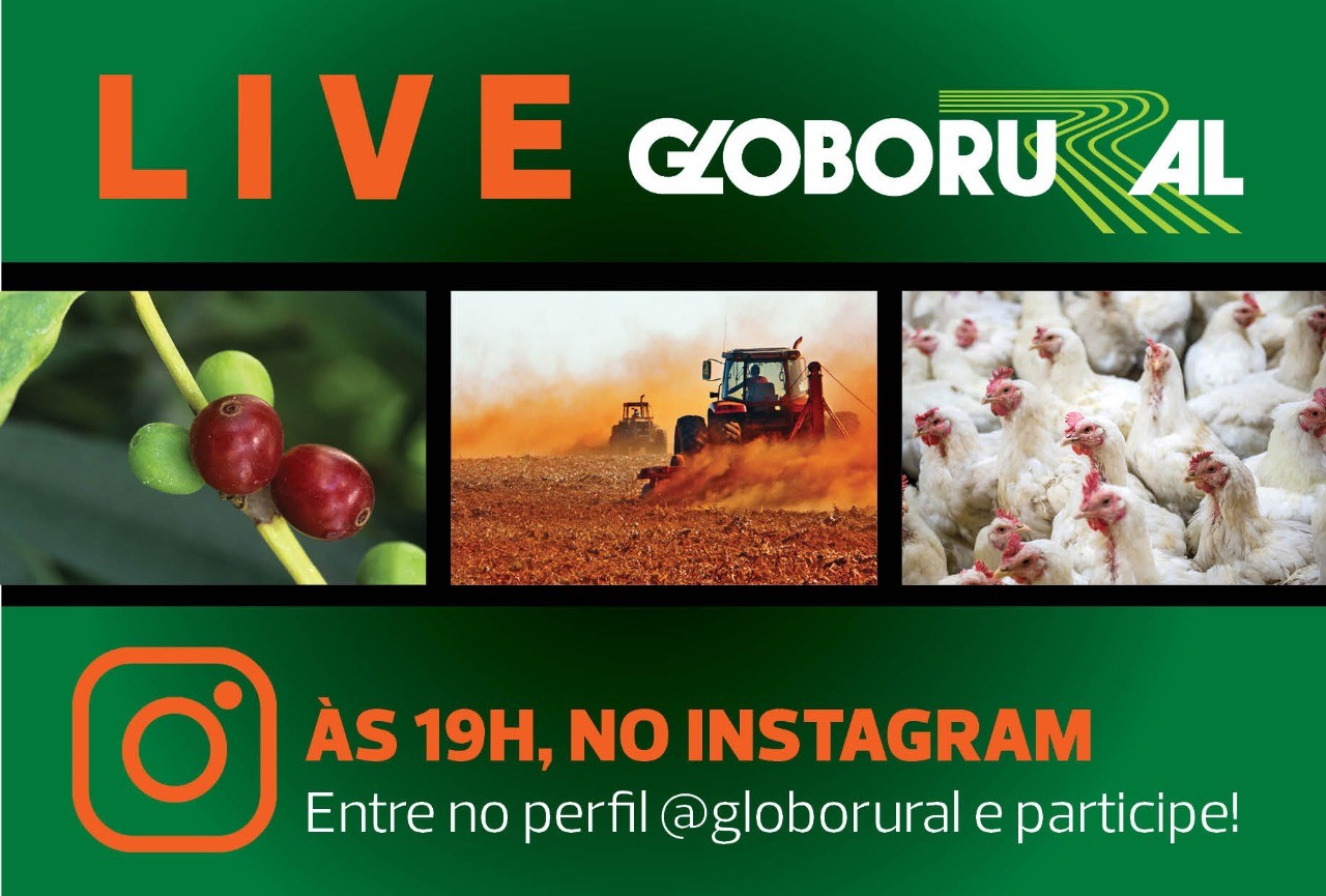 Live Globo Rural (Foto: (Globo Rural))